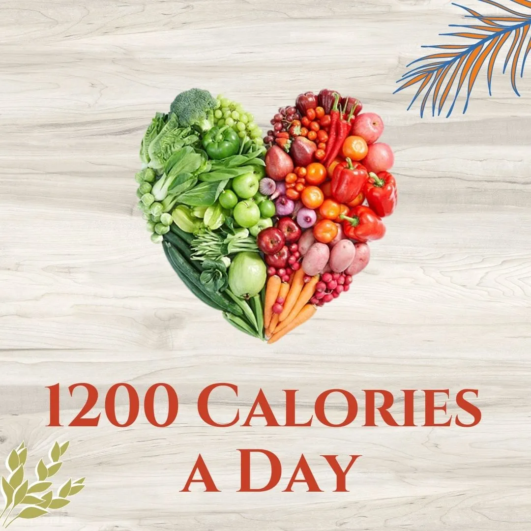 1200 Calories a Day
