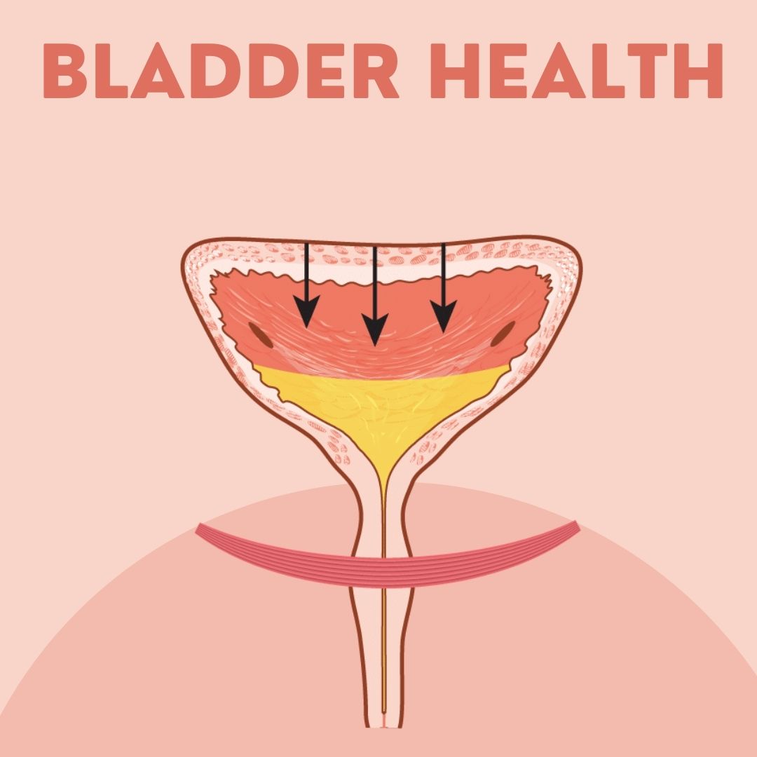 Bladder Health