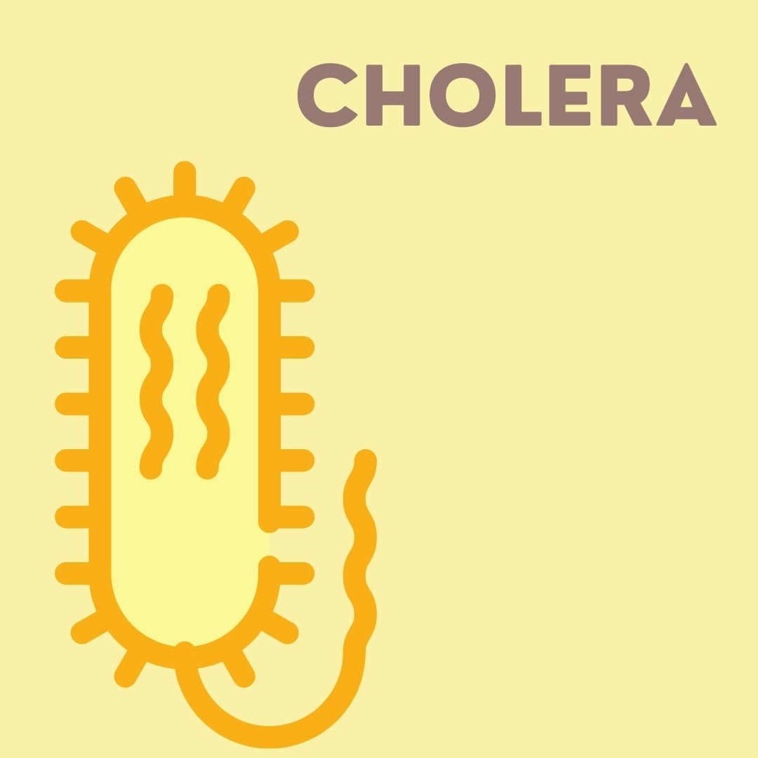 Cholera