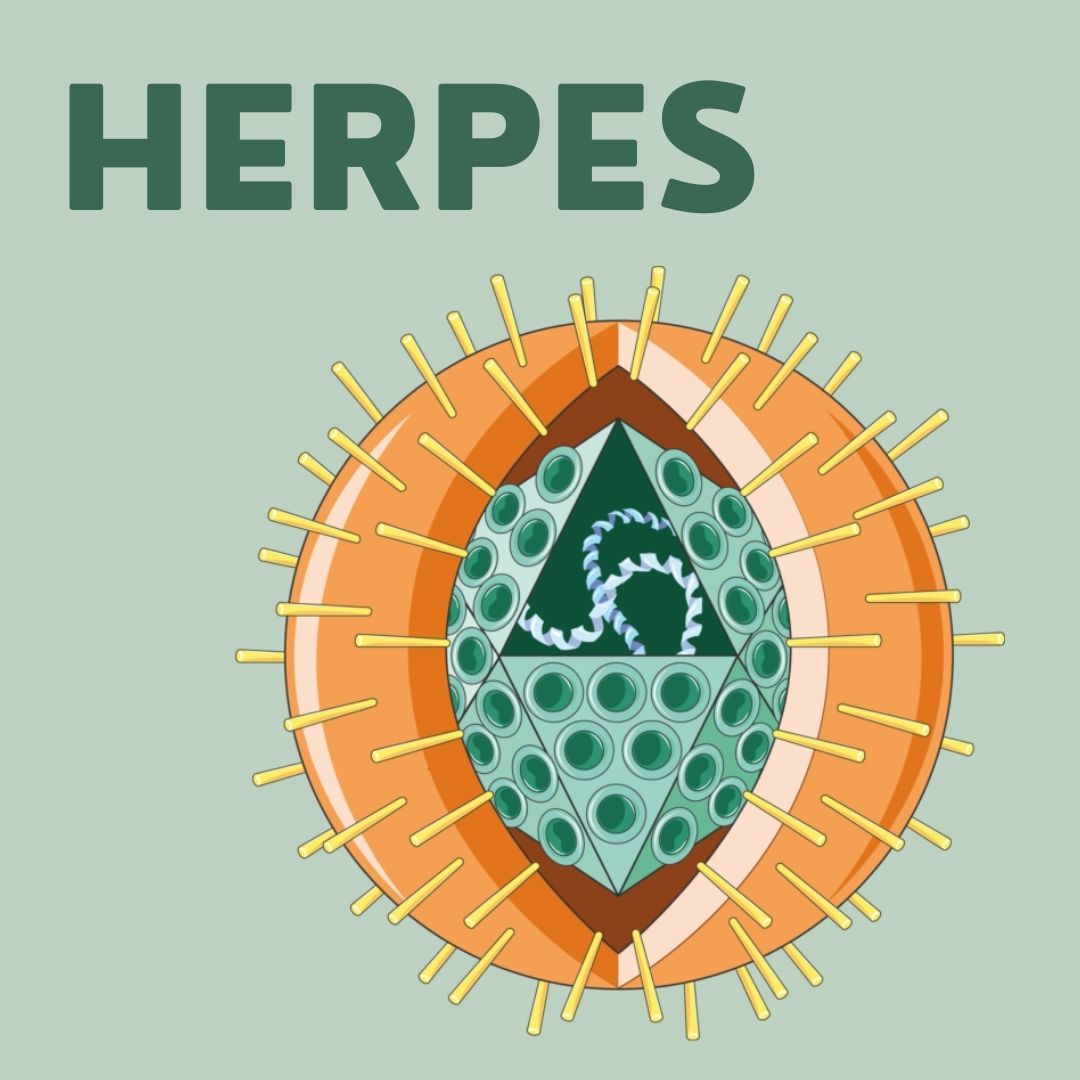 Herpes