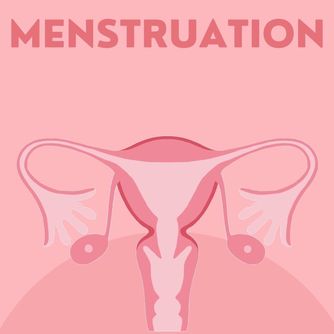 Menstruation