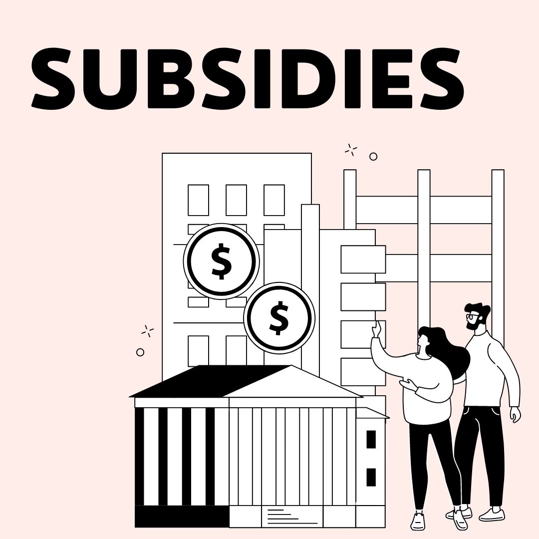 Subsidies