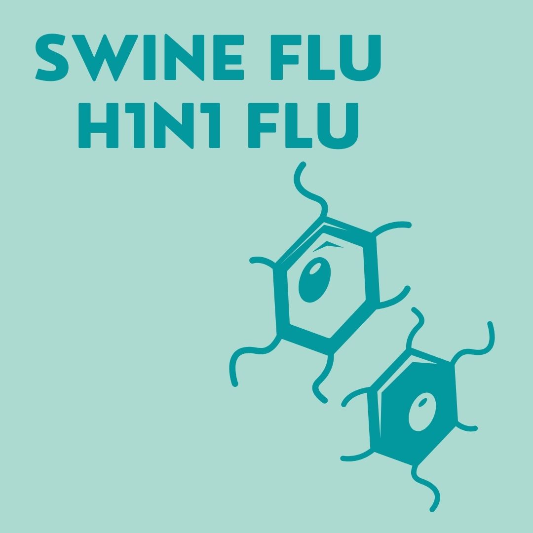 Swine Flu (H1N1 Flu)