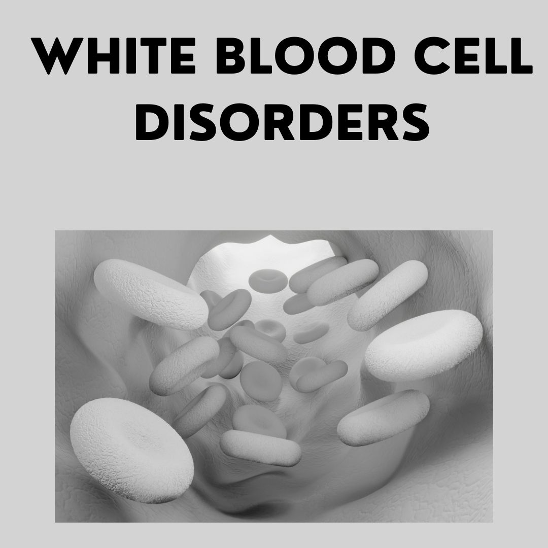 White Blood Cell Disorders