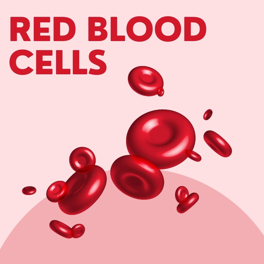 Red Blood Cells