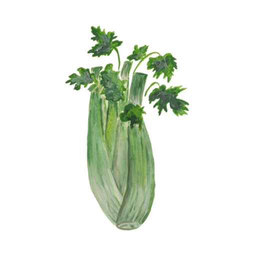 Celery