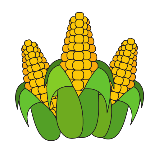 Corn