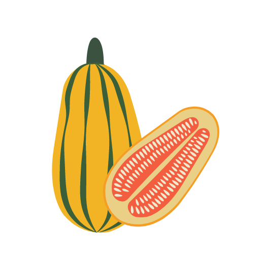 Delicata Squash