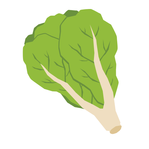 Lettuce1