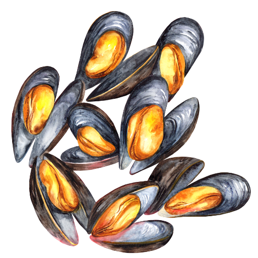 Mussel