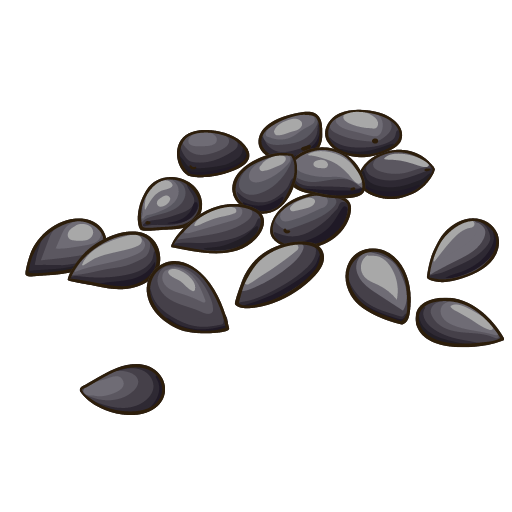 Nigella Seeds