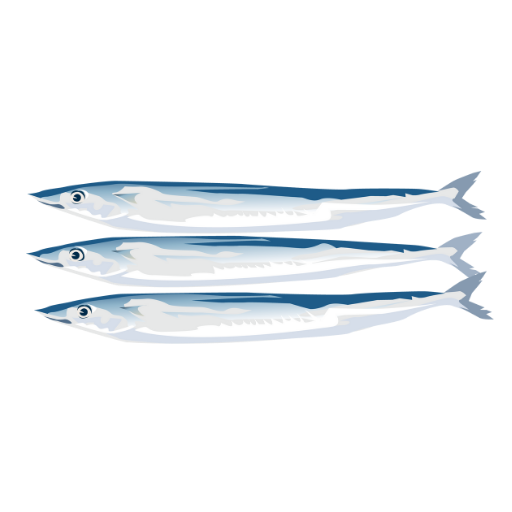 Pacific saury