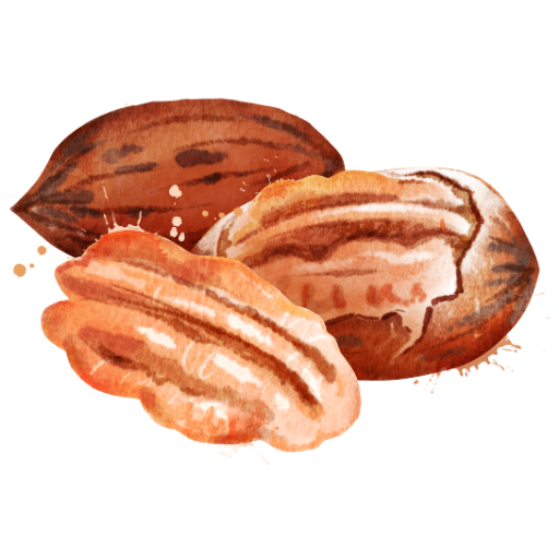 Pecan