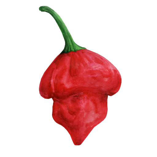 Pepperoncino pepper
