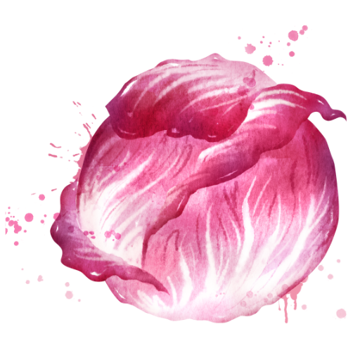 Radicchio