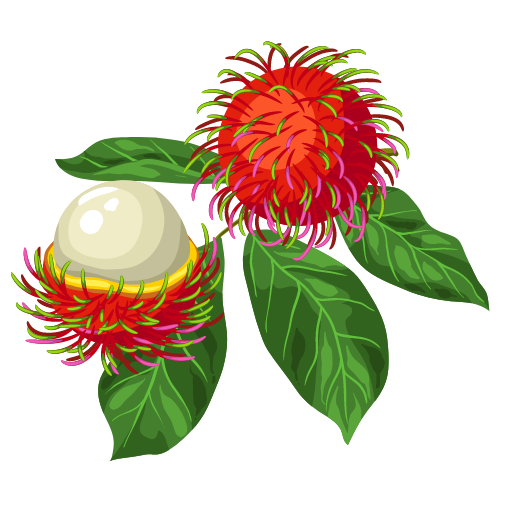 Rambutan