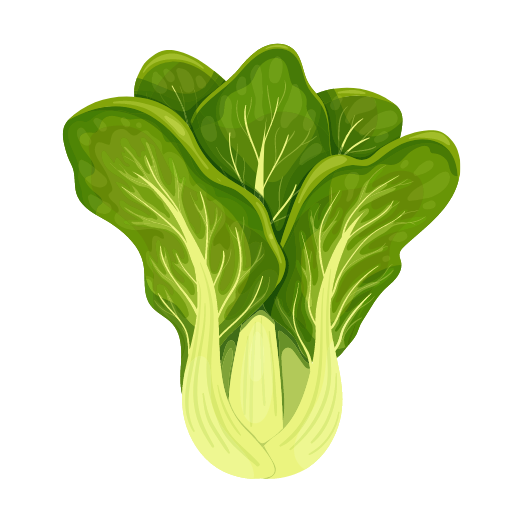 Romaine