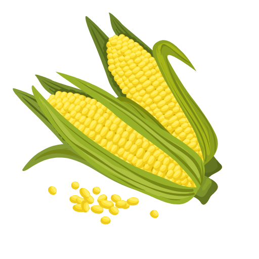 Sweet Corn