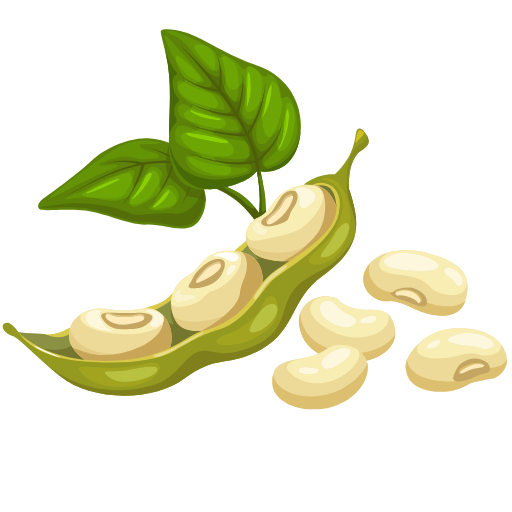 mayocoba beans