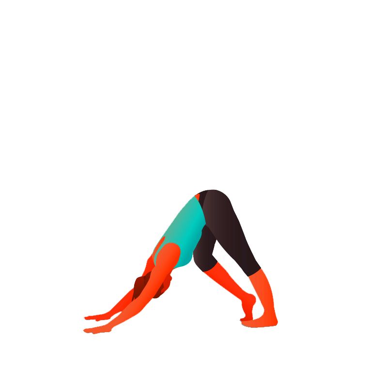 Downward-Facing Dog with Hamstring Stretch  - Adho Mukha Svanasana