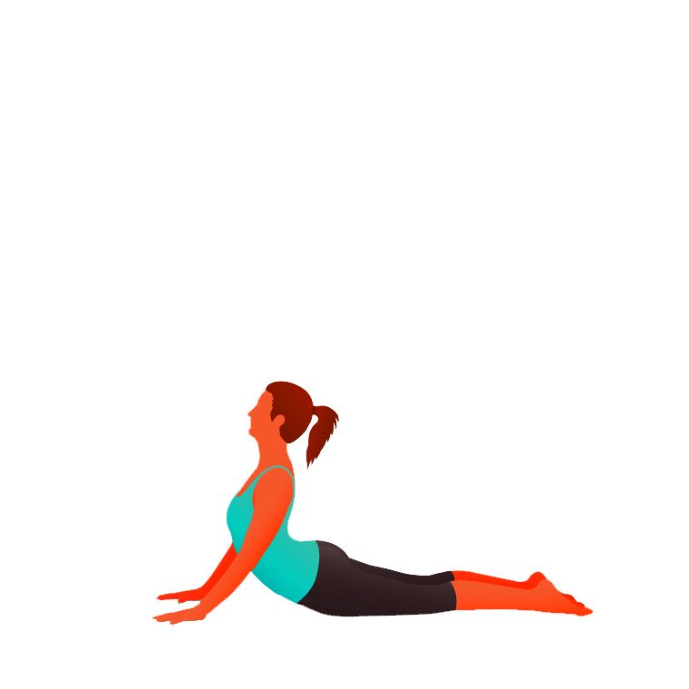 High Cobra -   Bhujangasana