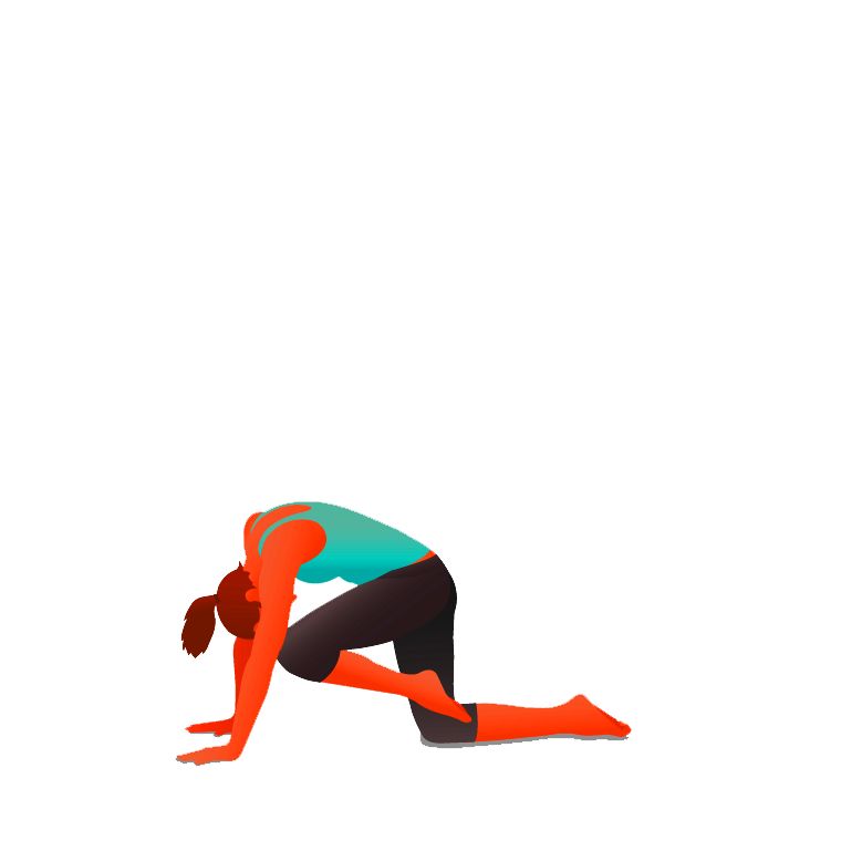 Plank on the Knees with Knee to Forehead