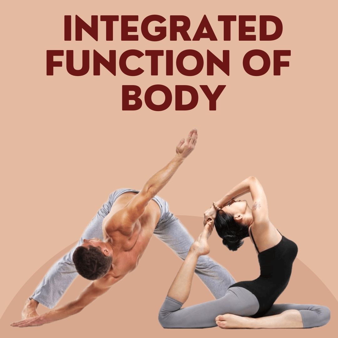 Integrated function of body
