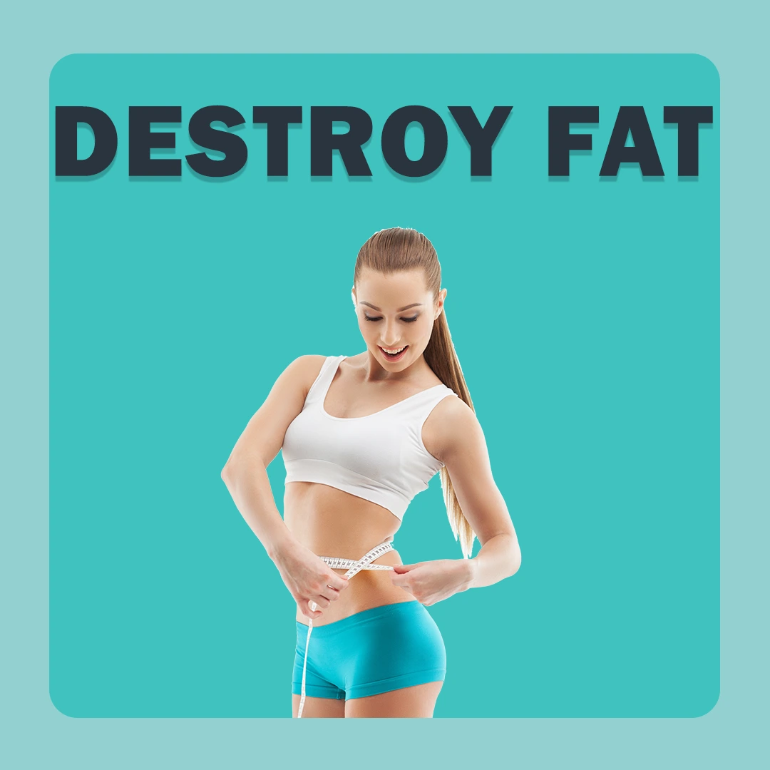 Destroy Fat