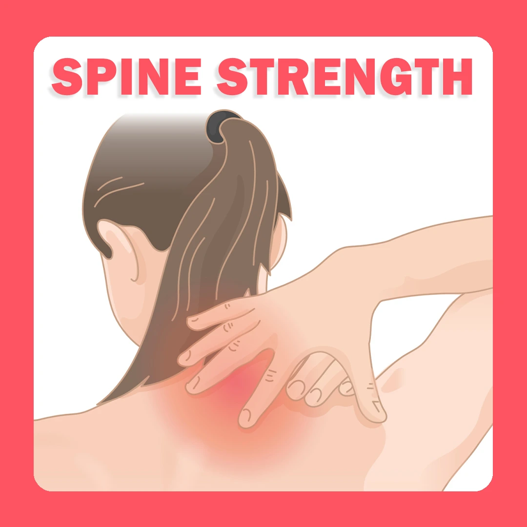 Strengthens spine
